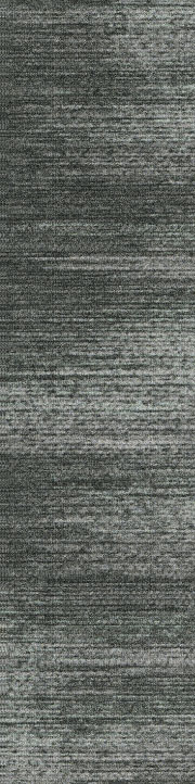 SEC172-5 Covert Clue