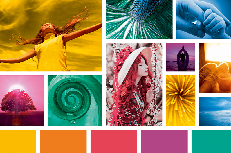 blog banner colordirection2022 796x529