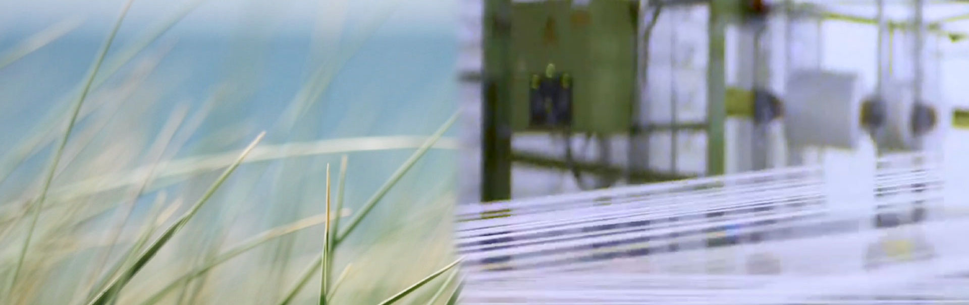 sustainability blog header