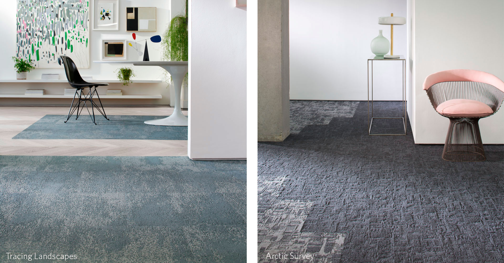 tracing landscapes-arctic survey