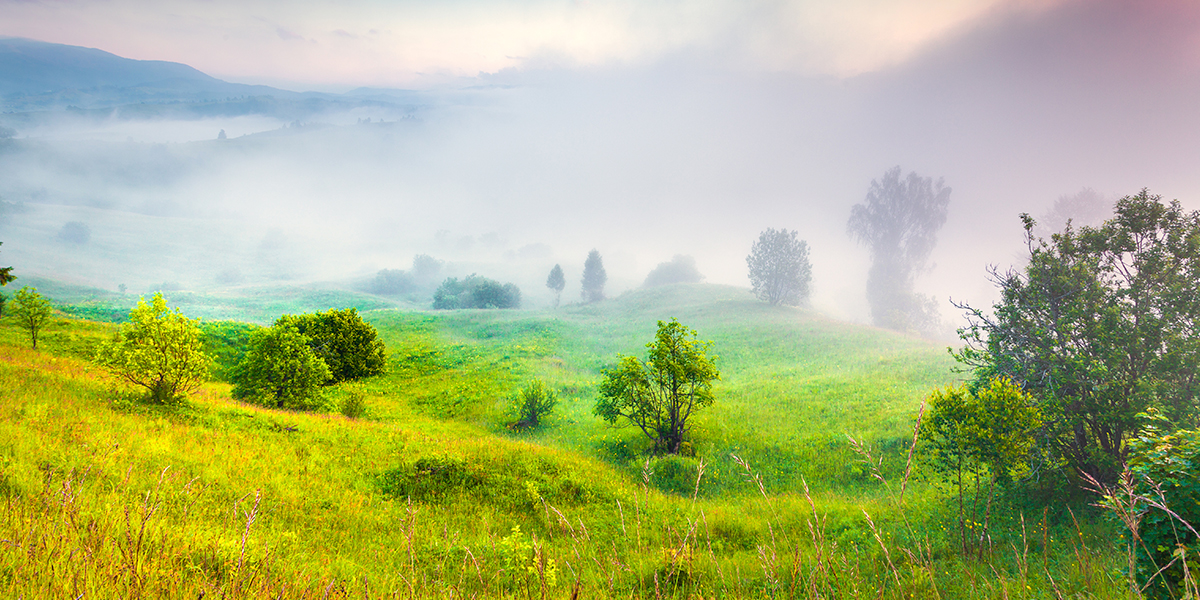 pr colordirection 1200x600 landscape