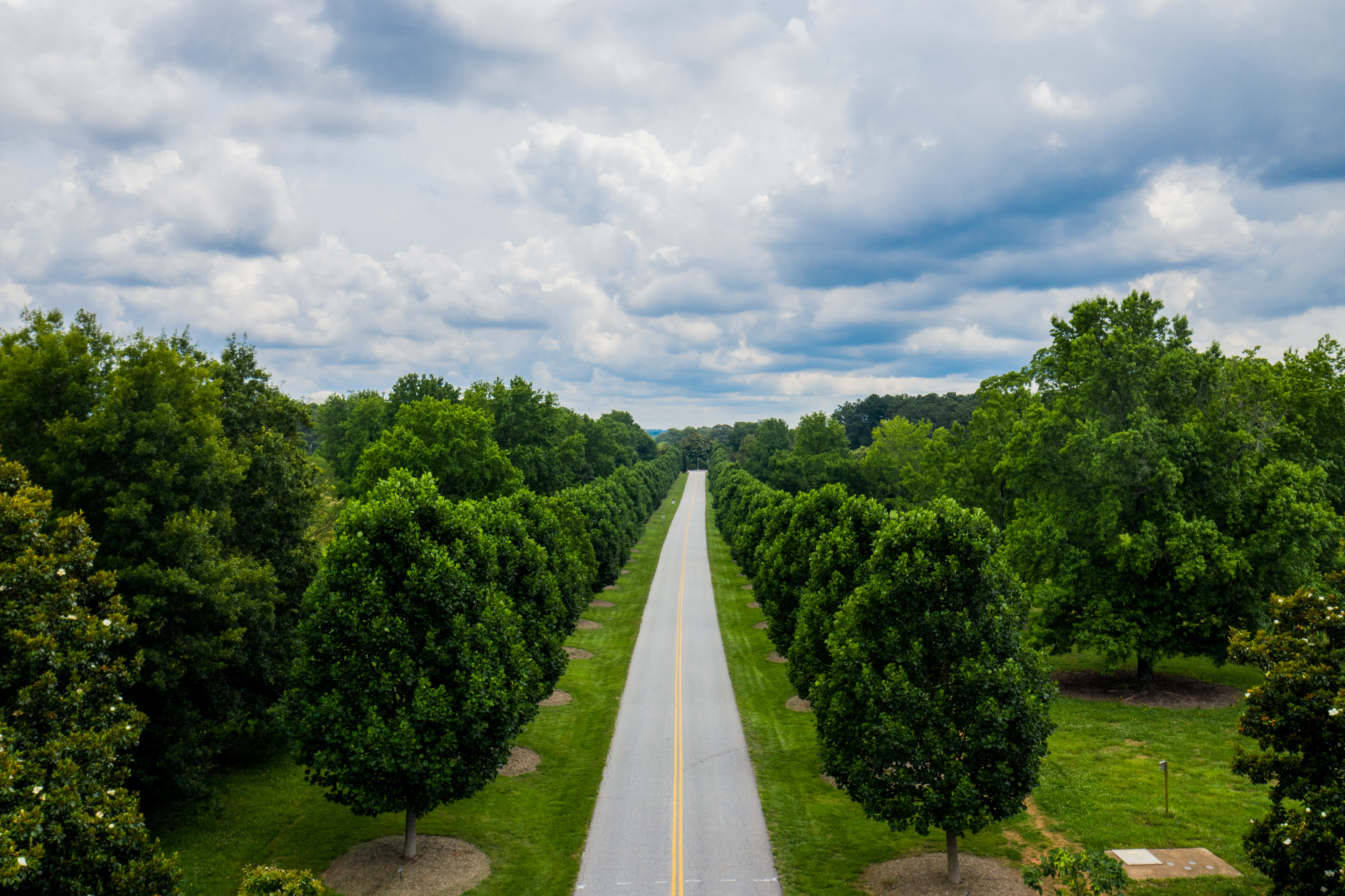 Sustainable Improvements to Headquarters